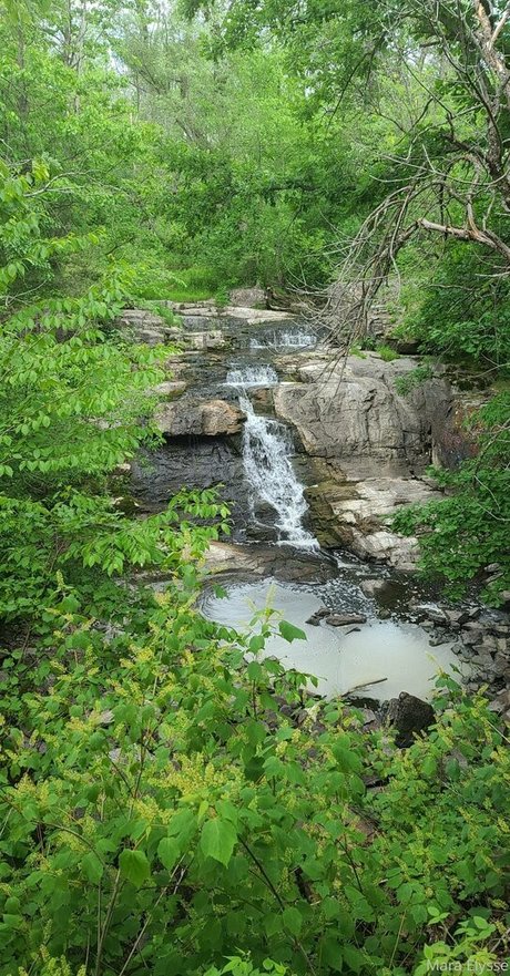 asmr spy onlyfans erotic img