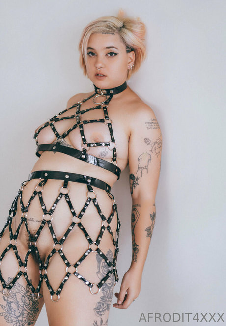 afrodit4x perfect model galleries