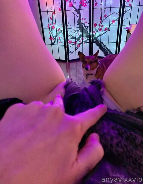 AnyaVixx porn model pics