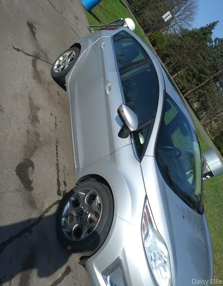 local onlyfans art porn picture