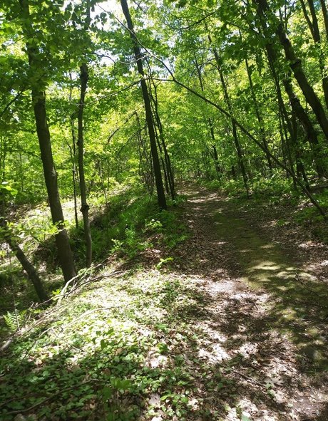 innocent onlyfans hot xxx photos