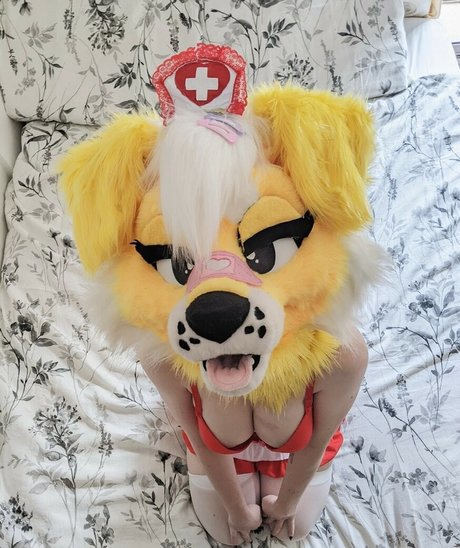 Murrsuit pornographic actress images