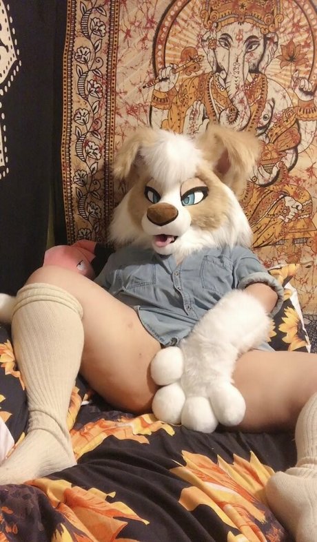 Murrsuit model hd images