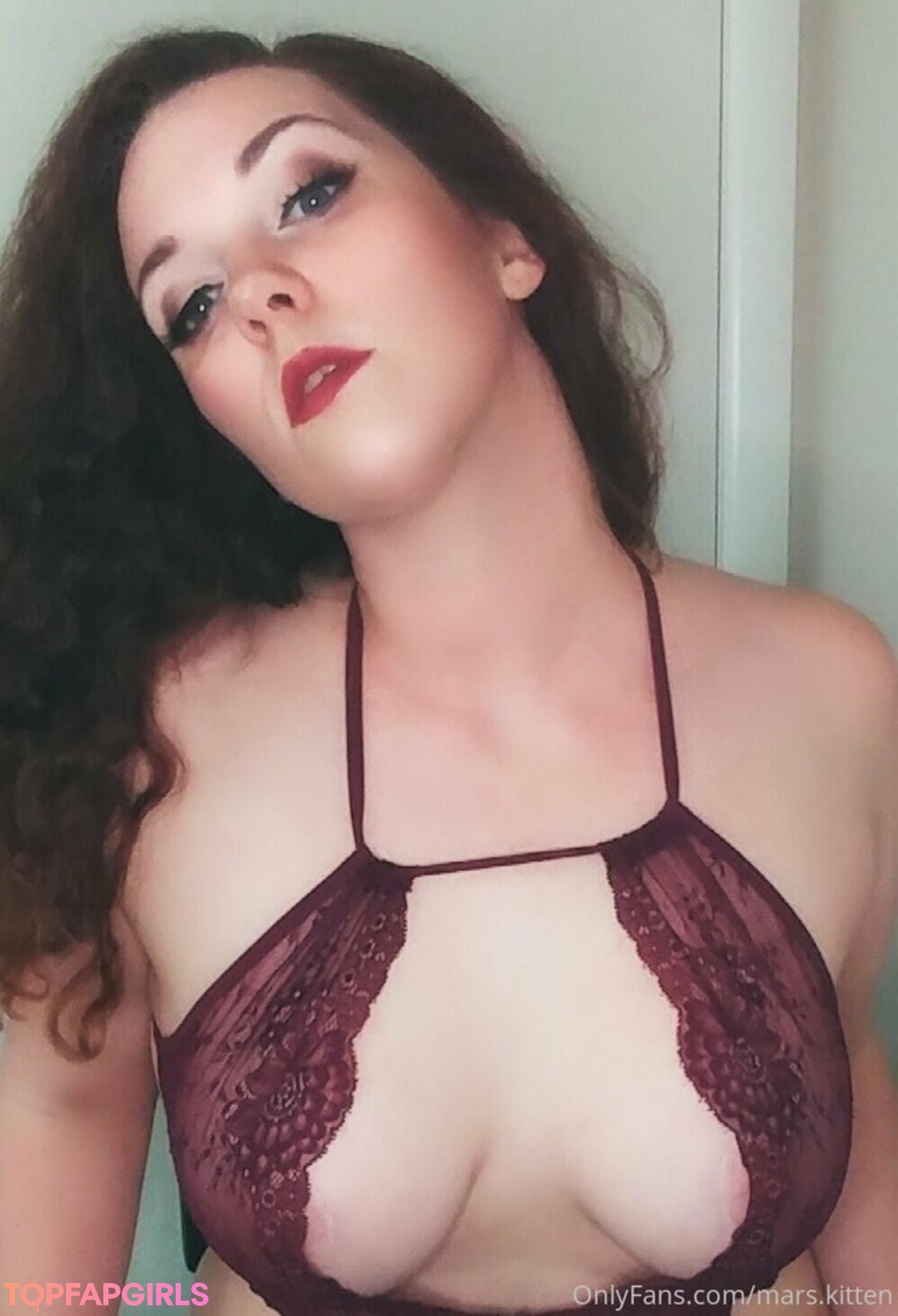 mars kitten best star gallery