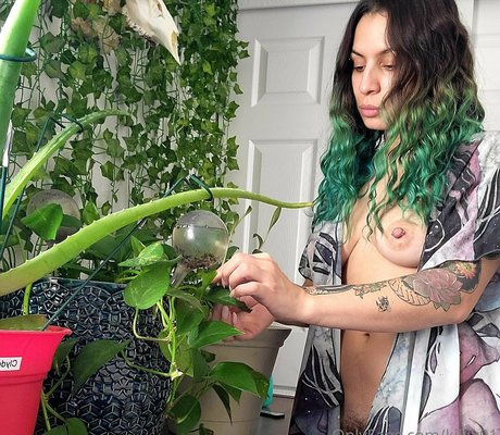 kikix91 star porn archive