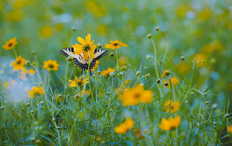 gay cock onlyfans free sexy images