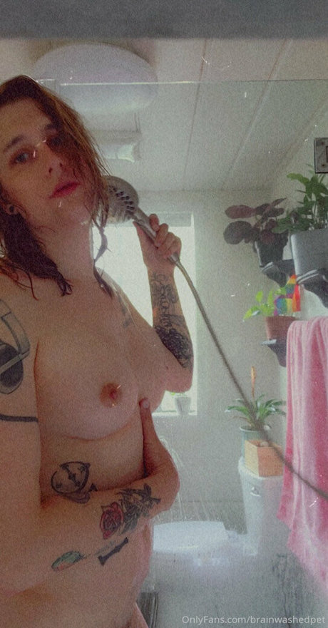 brainwashedpet beautiful star images