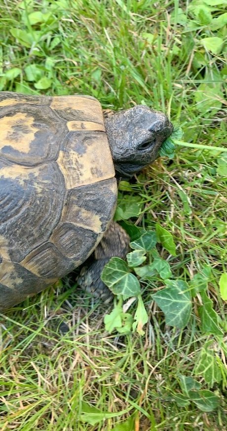 twerk onlyfans pornographic images