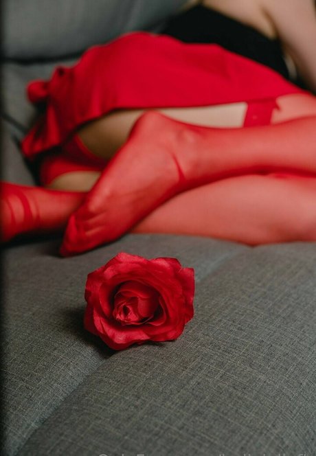 bellyjellyfh hot pornstar photo