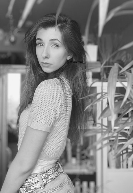 basostream star perfect gallery