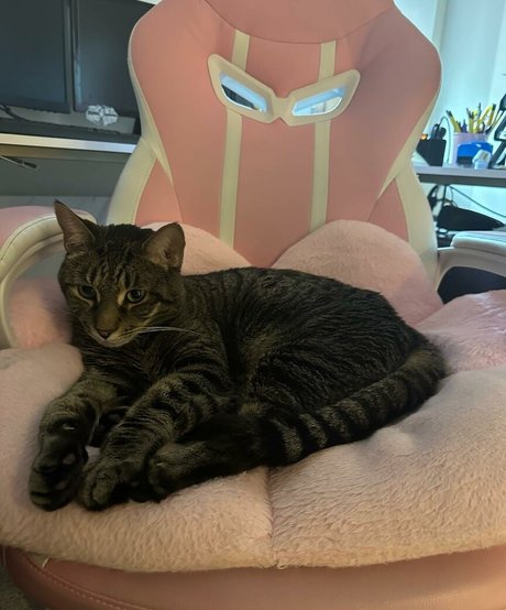 teen topless onlyfans pretty gallery