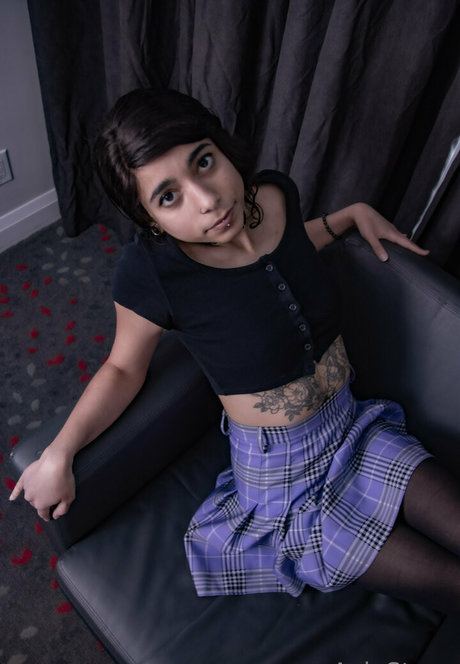 Aelastone perfect star photos