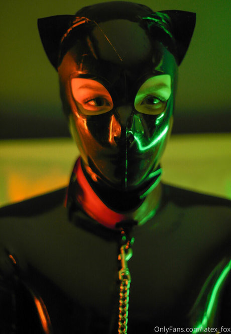 latex fox star nice picture