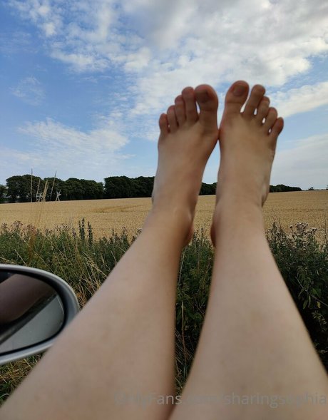 sharingsophia profile image