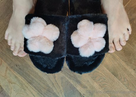 sharingsophia model pornographic gallery