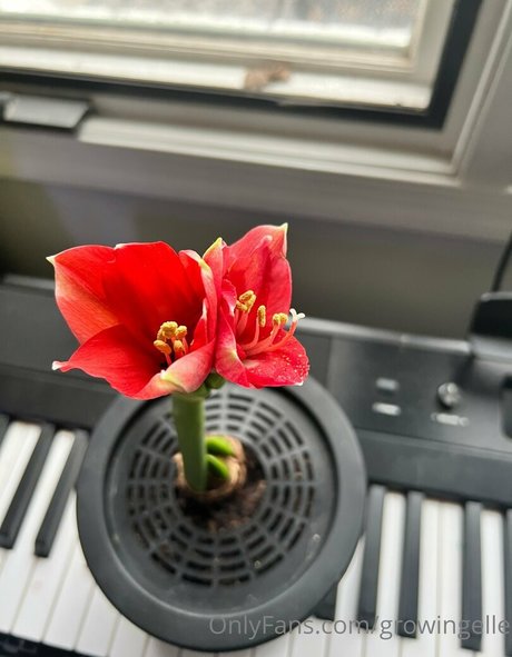 pretty ebony onlyfans hot porn photo