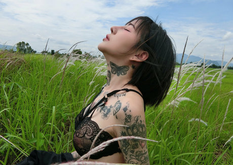 bbw latina onlyfans hot nude galleries