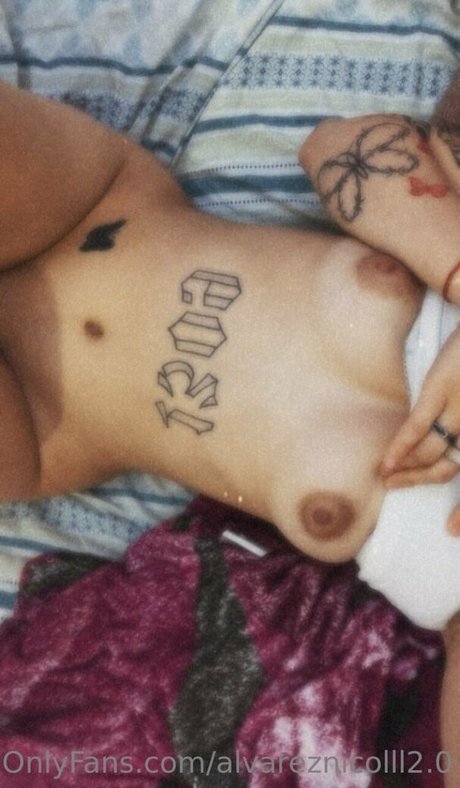 Alvarez Nicol model perfect galleries