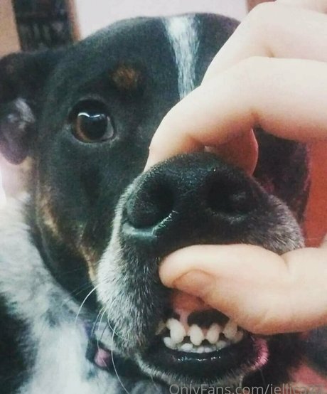 jellica27 erotic star pic