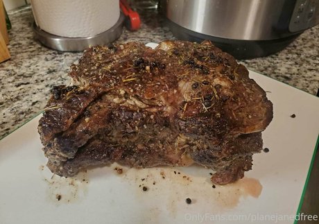 planejanedfree art pornstar img