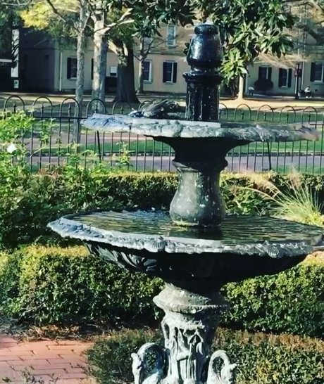 trans onlyfans adult image