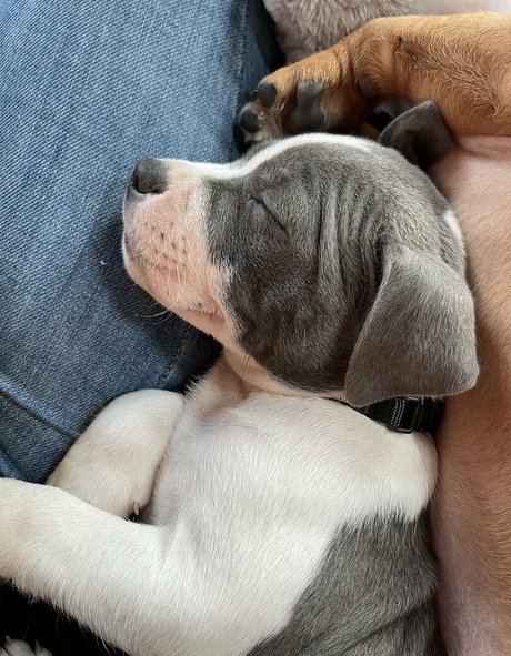 asmrjanina pornstar naked photos