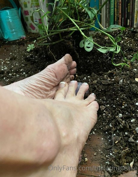 pussy milf onlyfans xxx archive