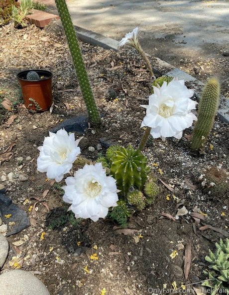 fitness fuck onlyfans beautiful naked photos