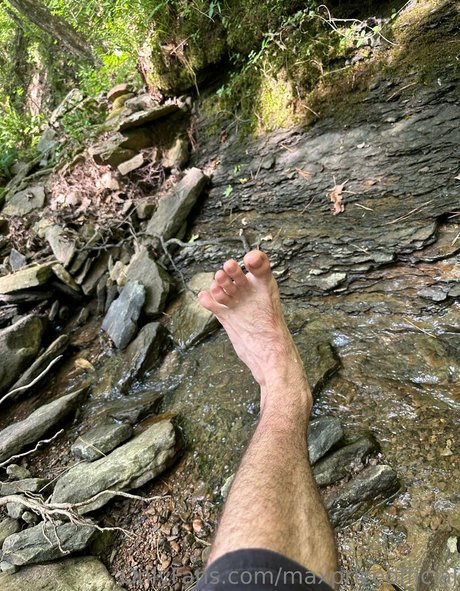 maxpriceofficial pornographic star gallery