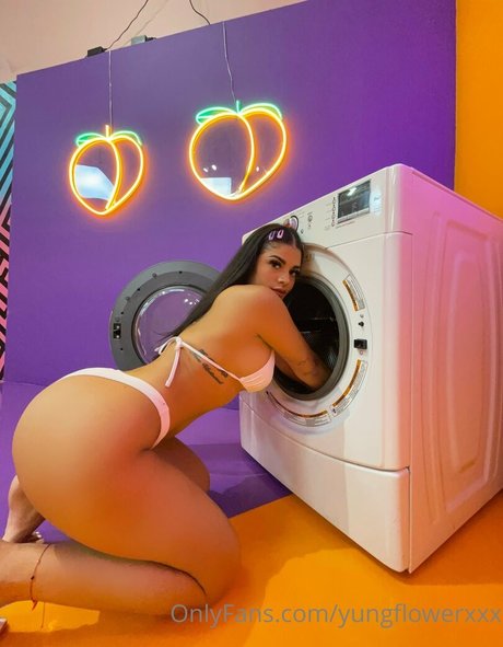 stella starrr pornstar free pictures