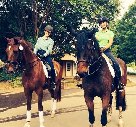 Ashton Hatchell adult star gallery