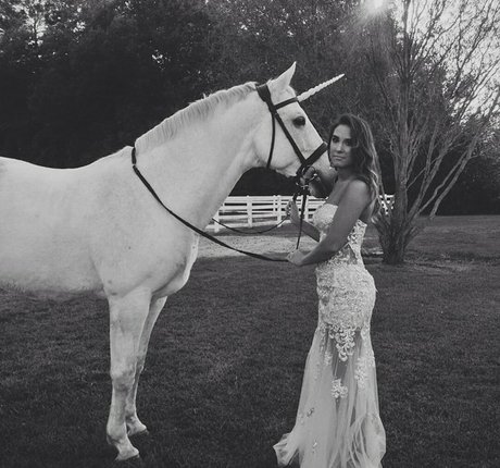 Ashton Hatchell pornstar adult image