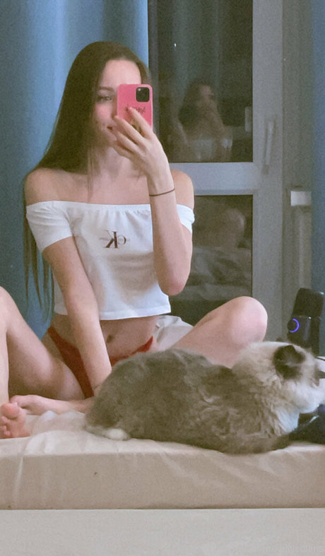 kellycollins top profile image