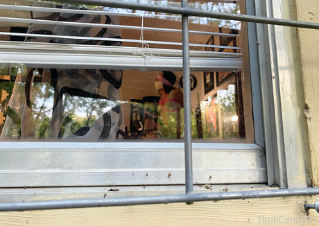 skullcandybri high quality pornstar pics