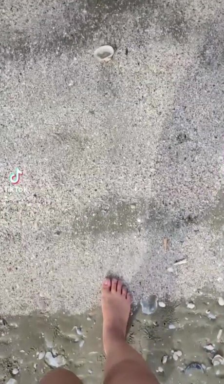 fat shemale onlyfans exclusive archive