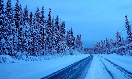 snow bunny907 star top galleries