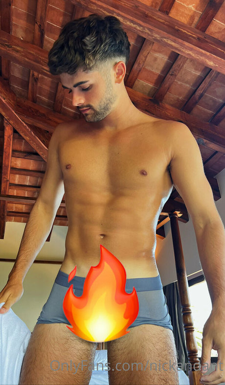 nickandant nice pornstar photo