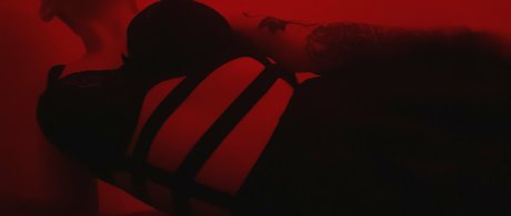 freewafflehoe free pornstar picture