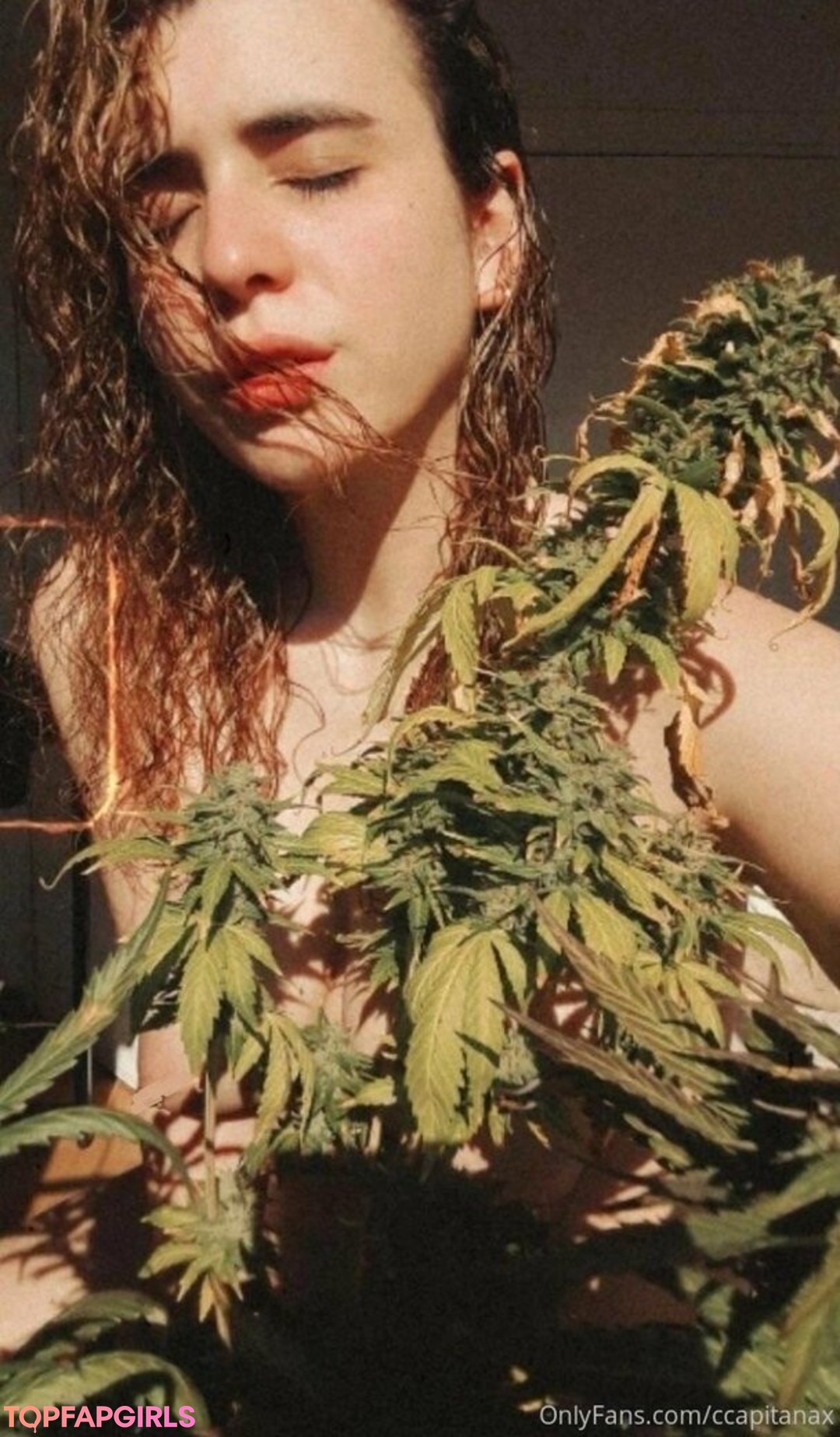 ccapitanax sexy star img