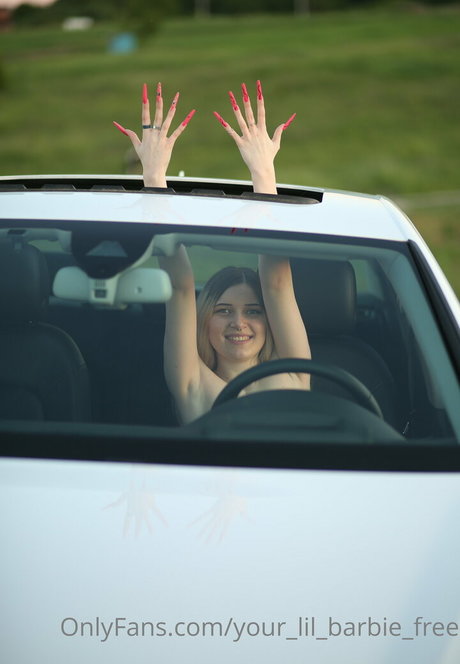 your lil barbie free art star images