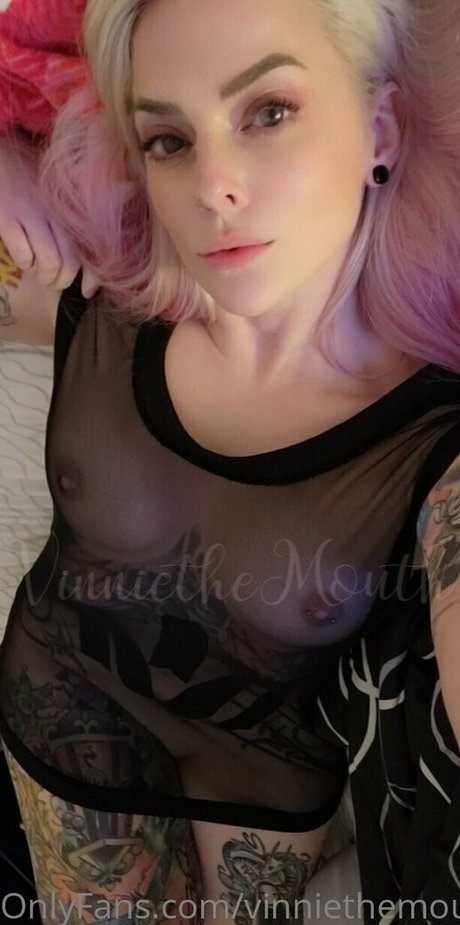 vinniethemouth art star archive