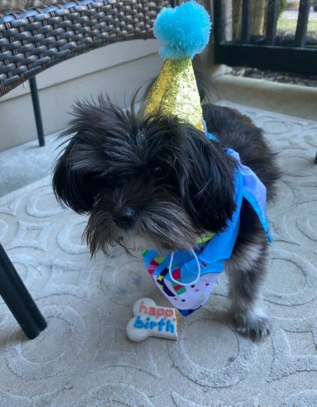 deltadawnlux hd star picture