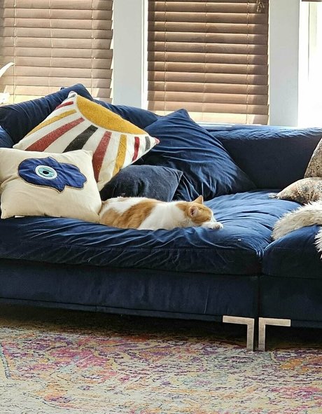 hotmesstv pornstar hd archive