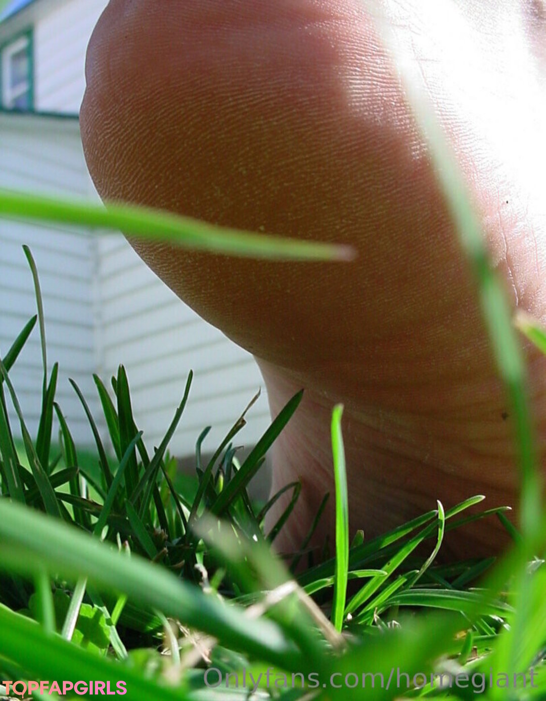 homegiant star nude galleries