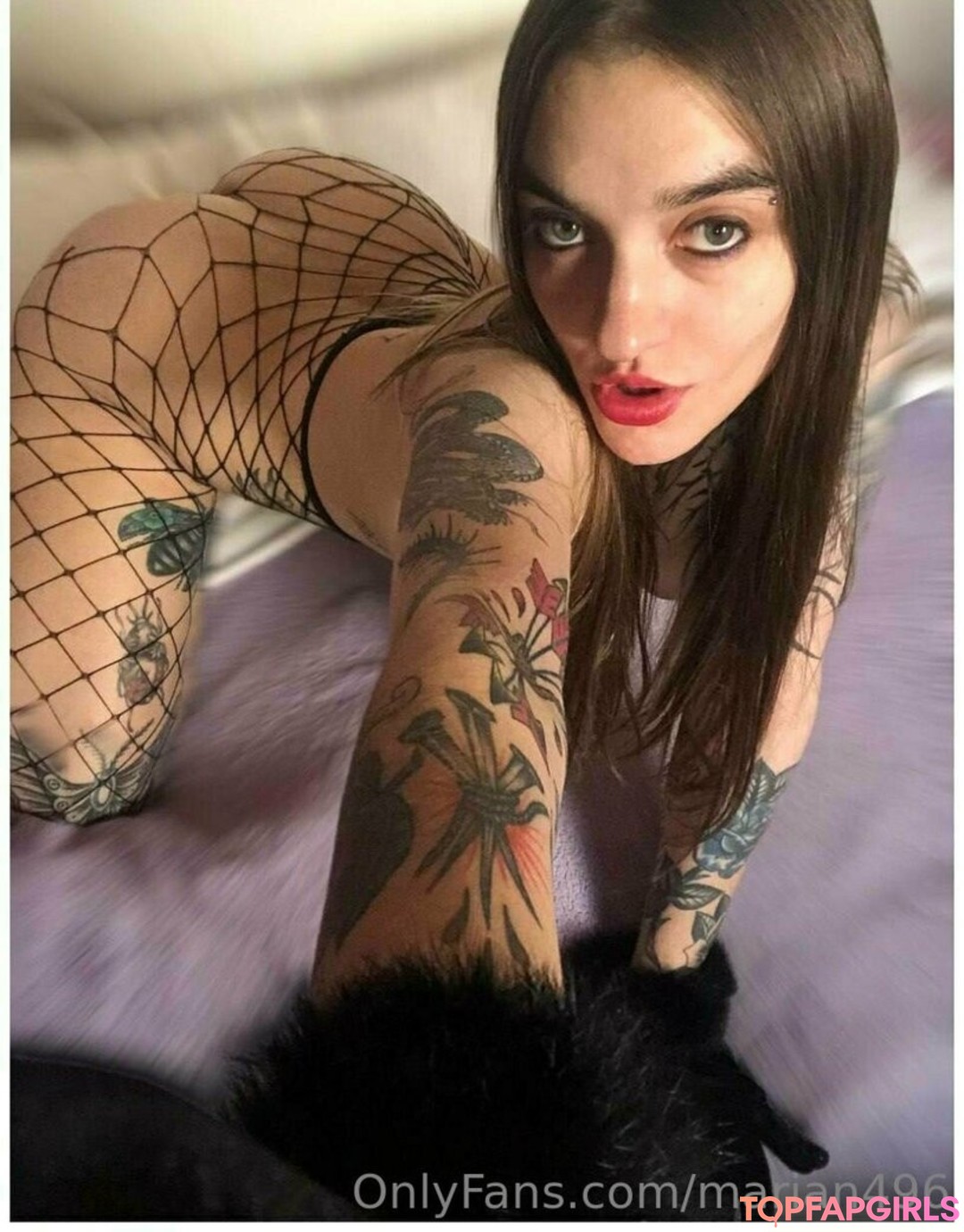 marian496 top star archive