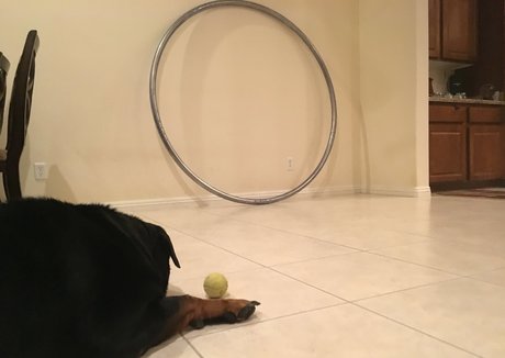 twerk onlyfans hot nude img