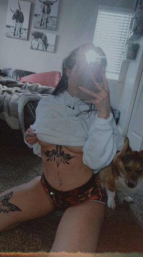 kyls 97 hd model image