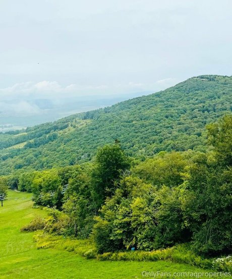 Abella Anderson high quality actress pics