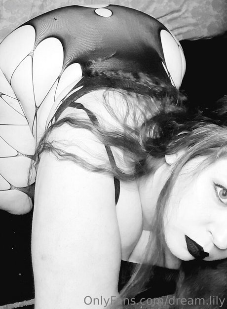 dream lily best star photos