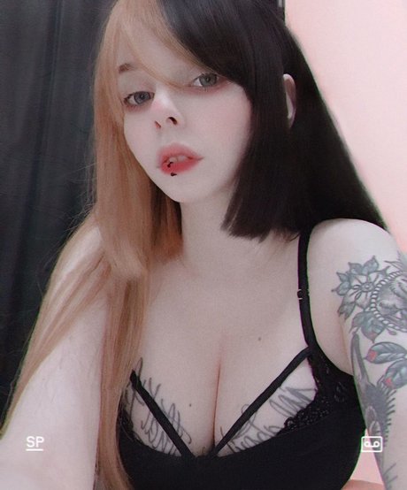 xmvndsx art star pic